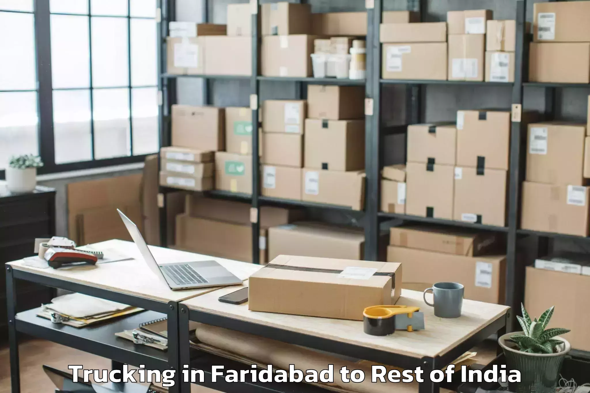 Book Faridabad to Gelling Trucking Online